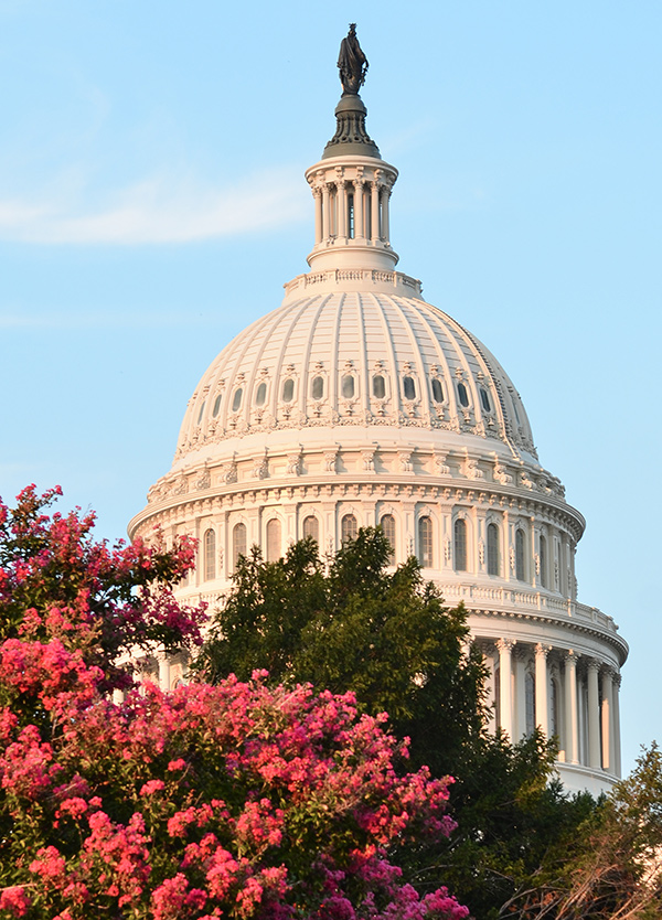 American Homebrewers Association Lobbying